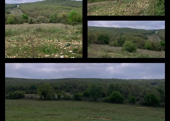 Du Domaine Du Mas De Pages * Marcilhac-sur-Cele