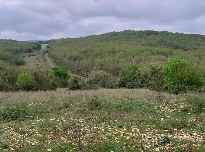 Holiday home Du Domaine Du Mas De Pages *